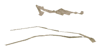 ch1_05_nd_05, a piece of the GTA V map in Tongva Valley