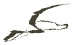 ch1_05_nd_17, a piece of the GTA V map in Tongva Hills