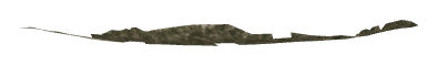 ch1_05_newrsd_20, a piece of the GTA V map in Tongva Hills