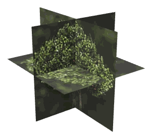 ch1_05_props_combo36_18_lod, a low-detail (LOD) model of the GTA V map in Tongva Hills