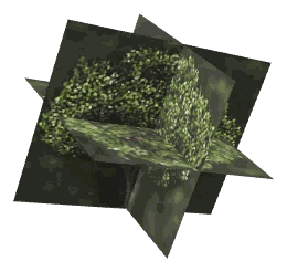ch1_05_props_combo69_08_lod, a low-detail (LOD) model of the GTA V map in Tongva Valley