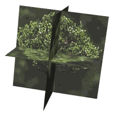 ch1_05_props_combo69_10_lod, a low-detail (LOD) model of the GTA V map in Tongva Hills