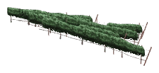 ch1_05_vines_02, a piece of the GTA V map in Tongva Hills