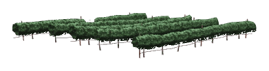 ch1_05_vines_16, a piece of the GTA V map in Tongva Hills
