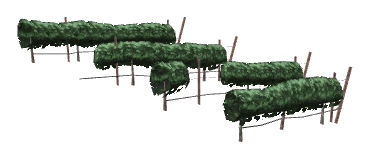 ch1_05_vines_19, a piece of the GTA V map in Tongva Hills