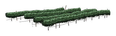 ch1_05_vines_22, a piece of the GTA V map in Tongva Hills