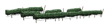 ch1_05_vines_23, a piece of the GTA V map in Tongva Hills