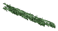 ch1_05_vinesleaf_13, a piece of the GTA V map in Tongva Hills