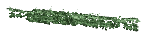 ch1_05_vinesleaf_15, a piece of the GTA V map in Tongva Hills