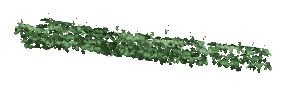ch1_05_vinesleaf_16, a piece of the GTA V map in Tongva Hills