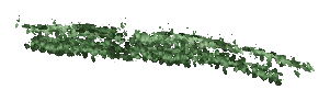 ch1_05_vinesleaf_17, a piece of the GTA V map in Tongva Hills