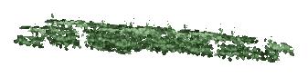 ch1_05_vinesleaf_21, a piece of the GTA V map in Tongva Hills