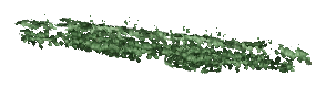 ch1_05_vinesleaf_22, a piece of the GTA V map in Tongva Hills