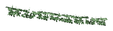 ch1_05_vinesleaf_25, a piece of the GTA V map in Tongva Hills