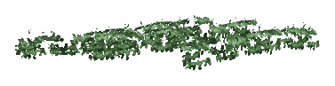 ch1_05_vinesleaf_33, a piece of the GTA V map in Tongva Hills