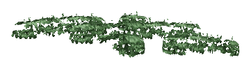 ch1_05_vinesleaf_34, a piece of the GTA V map in Tongva Hills