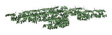 ch1_05_vinesleaf_39, a piece of the GTA V map in Tongva Hills