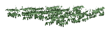 ch1_05_vinesleaf_44, a piece of the GTA V map in Tongva Hills