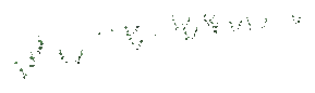 ch1_05_vineslmb_01, a piece of the GTA V map in Tongva Hills