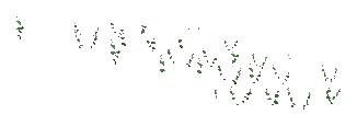 ch1_05_vineslmb_18, a piece of the GTA V map in Tongva Hills