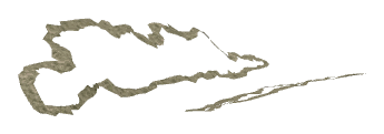 ch1_05b_bdec_38, a piece of the GTA V map in Richman Glen