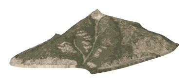 ch1_05b_land3_slod, a super-low-detail (SLOD) model of the GTA V map in Richman Glen