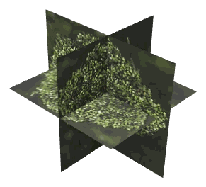 ch1_05b_props_combo23_20_lod, a low-detail (LOD) model of the GTA V map in Banham Canyon