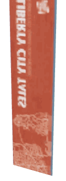 ch1_06b_clotha_lod, a low-detail (LOD) model of the GTA V map in Pacific Bluffs