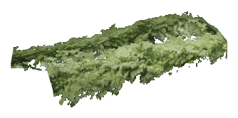 ch1_06b_plt5_dtls_00, a detail piece of the GTA V map in Banham Canyon