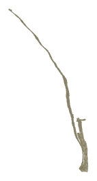 ch1_06b_tdec_07, a piece of the GTA V map in Banham Canyon