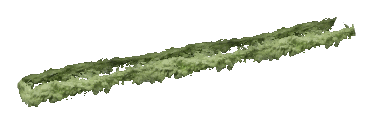 ch1_06c_hedge_2_02, a vegetation piece of the GTA V map in Vinewood Hills
