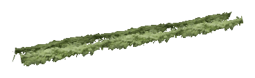 ch1_06c_hedge_2_03, a vegetation piece of the GTA V map in Vinewood Hills