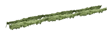 ch1_06c_hedge_2_04, a vegetation piece of the GTA V map in Richman Glen
