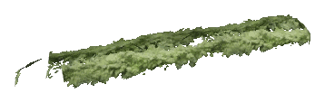 ch1_06c_hedge_2_05, a vegetation piece of the GTA V map in Richman Glen