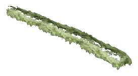 ch1_06c_hedge_2_06, a vegetation piece of the GTA V map in Vinewood Hills