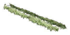 ch1_06c_hedge_2_09, a vegetation piece of the GTA V map in Banham Canyon