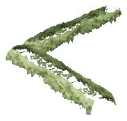ch1_06c_hedge_2_10, a vegetation piece of the GTA V map in Banham Canyon