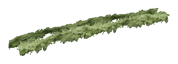 ch1_06c_hedge_2_13, a vegetation piece of the GTA V map in Banham Canyon