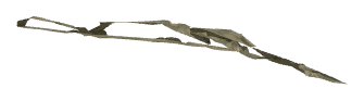 ch1_06d_decal_00, a decal of the GTA V map in Richman Glen