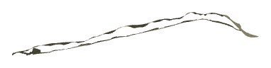 ch1_06d_decal_01, a decal of the GTA V map in Richman Glen