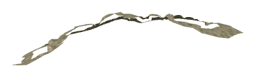 ch1_06d_decal_02, a decal of the GTA V map in Richman Glen