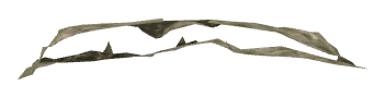 ch1_06d_decal_03, a decal of the GTA V map in Richman Glen