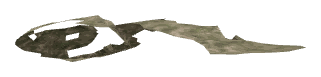 ch1_06d_decal_05, a decal of the GTA V map in Richman Glen