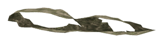 ch1_06d_decal_06, a decal of the GTA V map in Richman Glen