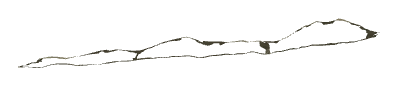 ch1_06d_decal_08, a decal of the GTA V map in Richman Glen