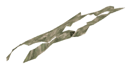 ch1_06d_decal_11, a decal of the GTA V map in Richman Glen