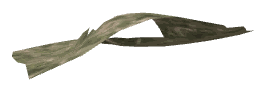 ch1_06d_decal_28, a decal of the GTA V map in Vinewood Hills