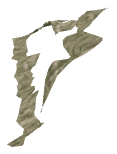 ch1_06d_decal_32, a decal of the GTA V map in Richman Glen