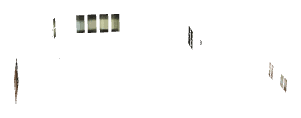 ch1_06d_emissive_a, an emissive (light) mesh of the GTA V map in Richman Glen