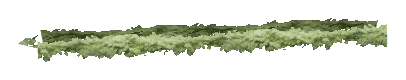 ch1_06d_hedge_00, a vegetation piece of the GTA V map in Richman Glen